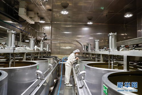 探訪進博會參展商 韓國綠色食品企業(yè)圃美多的豆腐工廠